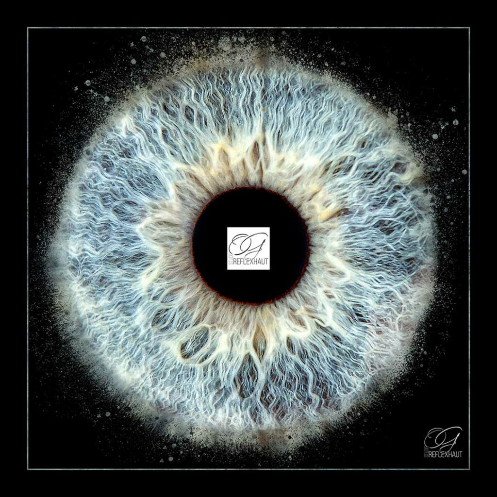 Photo d'iris - Niort