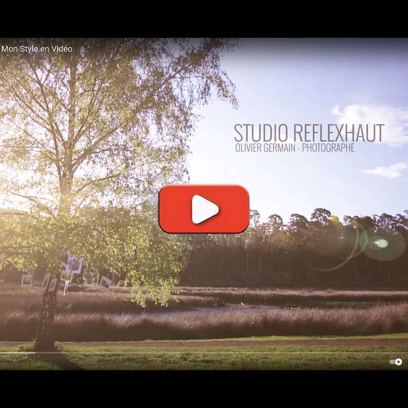 Visuel Photographe Niort Villiers-en-Plaine - Style Photo