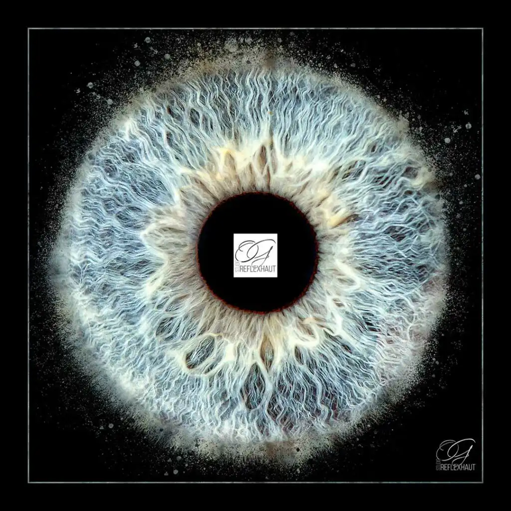 Photographie artistique d’iris au Studio REFLEXHAUT